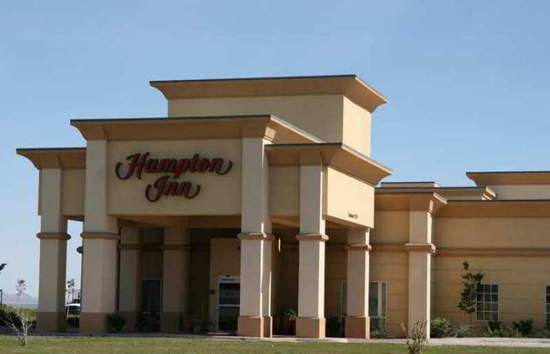 Hampton Horn Van Horn